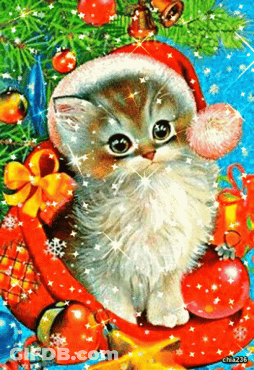 Christmas Sparkling Santa Cat GIF