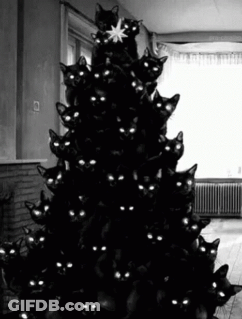 Christmas Tree Black Cat GIF
