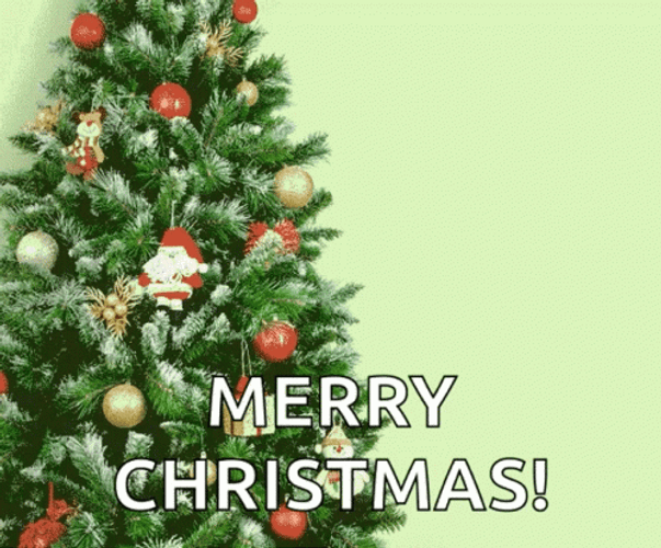 Christmas Tree Cat Jump GIF