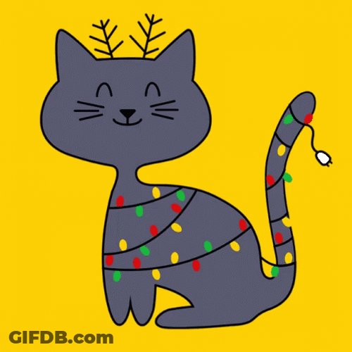 Christmas Tree Cat Lights GIF
