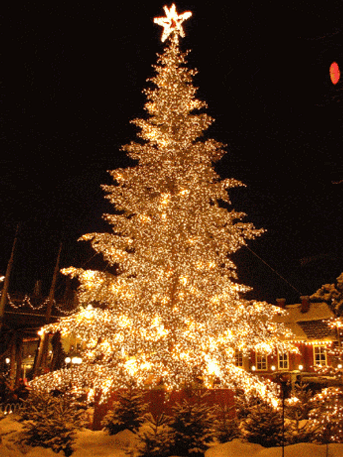 Christmas Tree Gold Outdoor Glow GIF