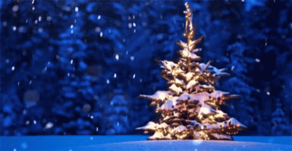 Christmas Tree Holiday Winter Snow GIF