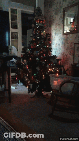 Christmas Tree In Living Room GIF