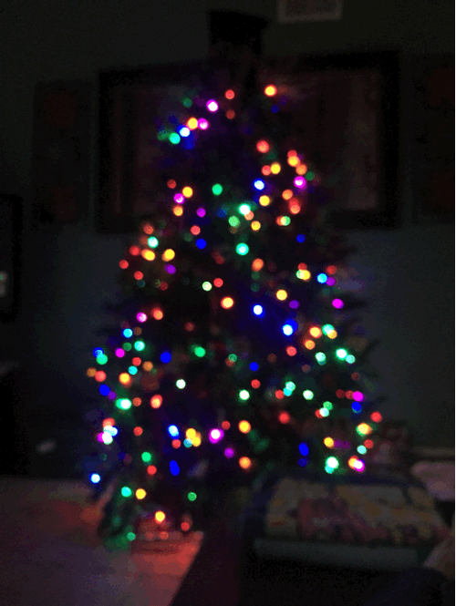 Christmas Tree Multicolor Lights Blur GIF