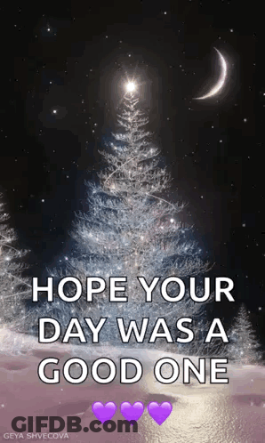 Christmas Tree Saying Hope Your Day Was A Good One GIF