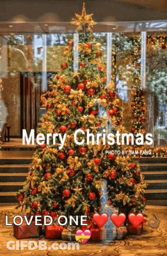 Christmas Tree Saying Merry Christmas Loved One GIF