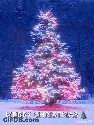 Christmas Tree Saying Merry Christmas GIF