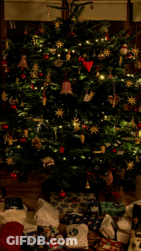 Christmas Tree Saying When You Wake Up Christmas Morning GIF