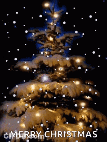 Christmas Tree Snow Merry Christmas GIF