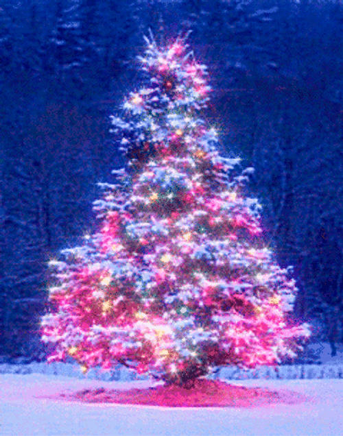 Christmas Tree Winter Colorful Glitter GIF