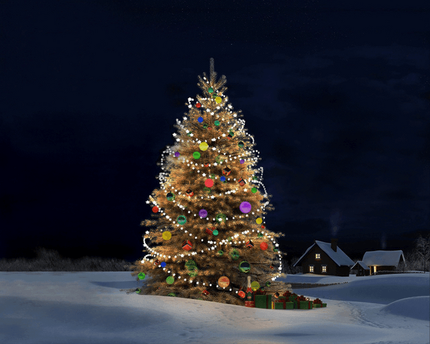 Christmas Tree Winter Night Mood GIF