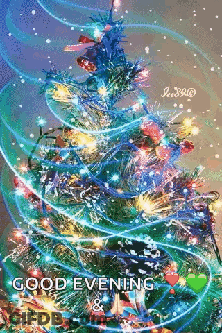 Christmas Tree With Lights Good Evening GIF