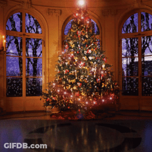 Christmas Tree With Lights GIF