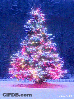 Christmas Tree With Name Akela73 GIF
