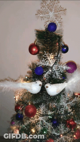 Christmas Tree With Red Purple Blue Ornaments And Two White Birds GIF