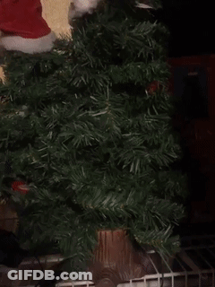 Christmas Tree With Santa Hat GIF