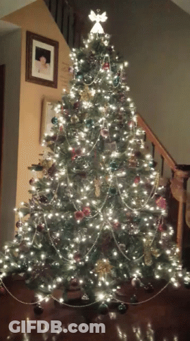 Christmas Tree With Woman Picture Above GIF