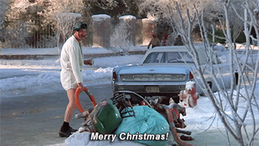 Christmas Vacation Merry Christmas Eddie GIF