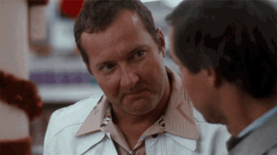 Christmas Vacation Really Nice GIF