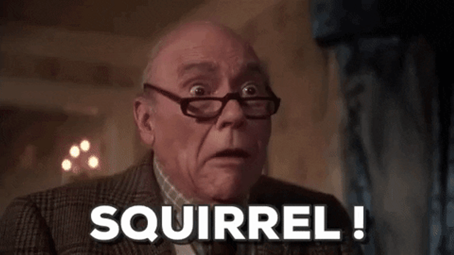 Christmas Vacation Squirrel Attack GIF