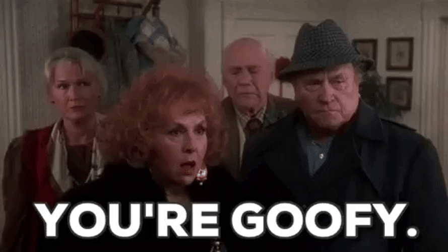 Christmas Vacation You're Goofy GIF