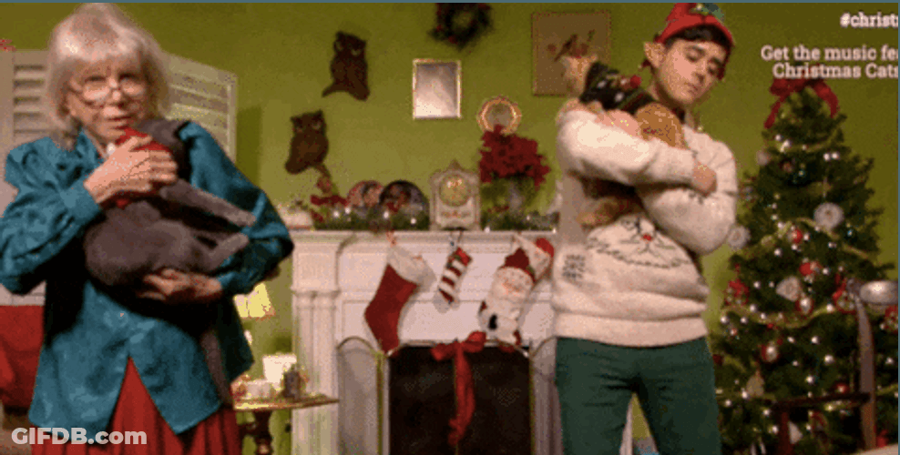 Christmas Yuletide Sleeping Cat GIF