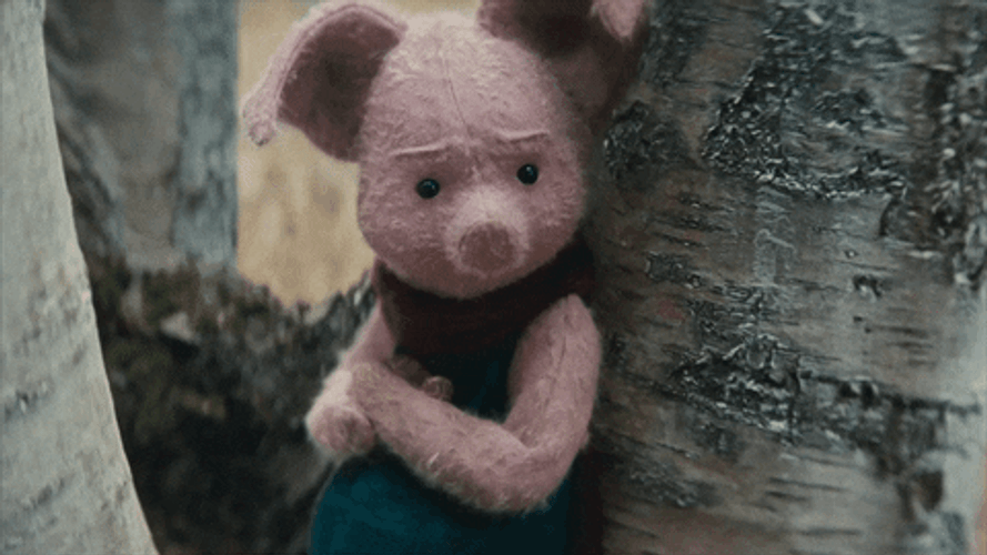 Christopher Robin Piglet GIF