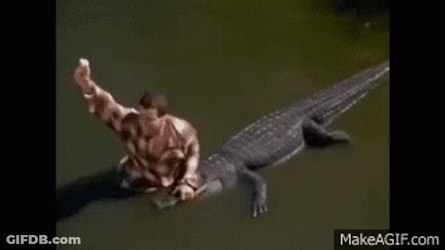 Chubbs Happy Gilmore Crocodile GIF