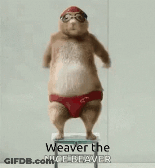 Chubby Beaver Weaver The Nice Beaver Dancing GIF