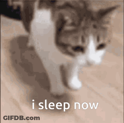 Chubby Cat Sleeping Now Meme GIF