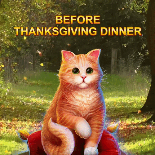 Chubby Cat Transformation Thanksgiving Meme GIF