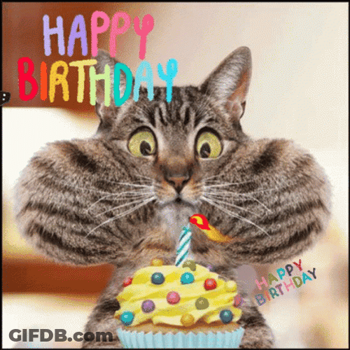 Chubby Cheek Birthday Cat Blow GIF