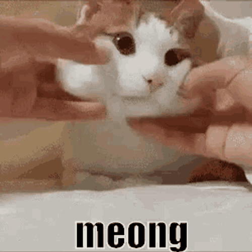 Chubby GIF