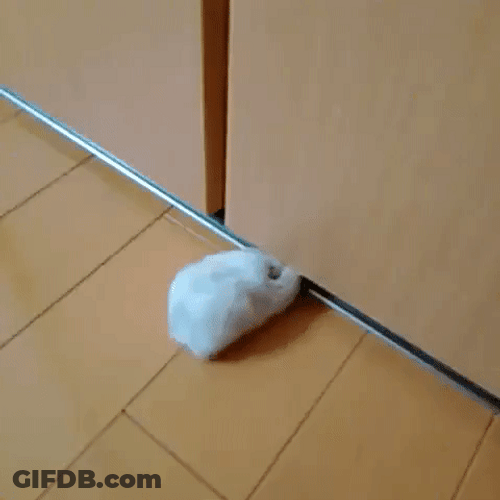 Chubby Mouse Trapped GIF