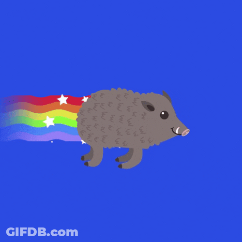 Chubby Pig Flies Rainbow Trail GIF