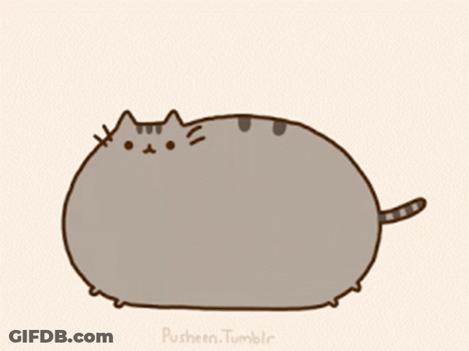 Chubby Pusheen Cat Bouncing GIF