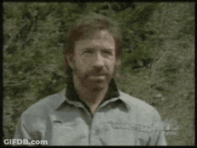 Chuck Norris Breaking Paddle Meme GIF