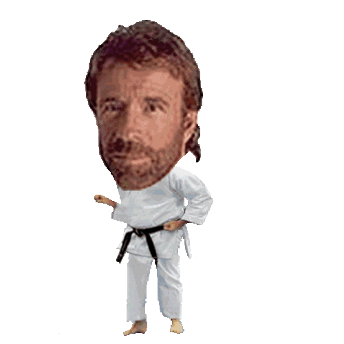 Chuck Norris Bubble Head Karate Animation GIF
