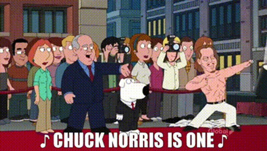 Chuck Norris Guesting In Family Guy Cartoon Series GIF