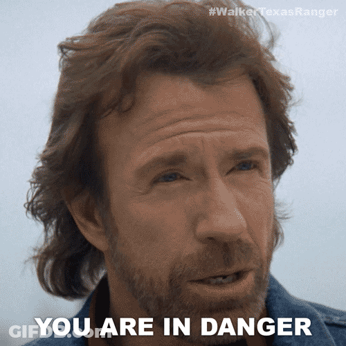 Chuck Norris Im In Danger GIF