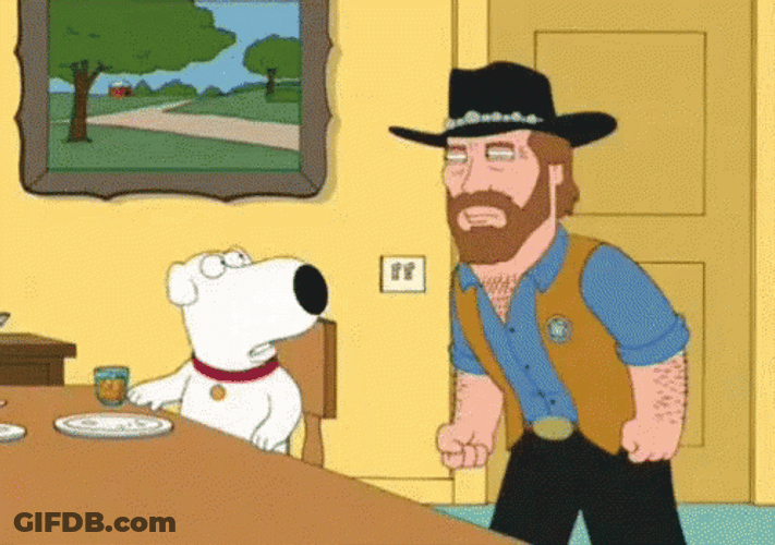 Chuck Norris Punching Brian Dog In Family Guy GIF