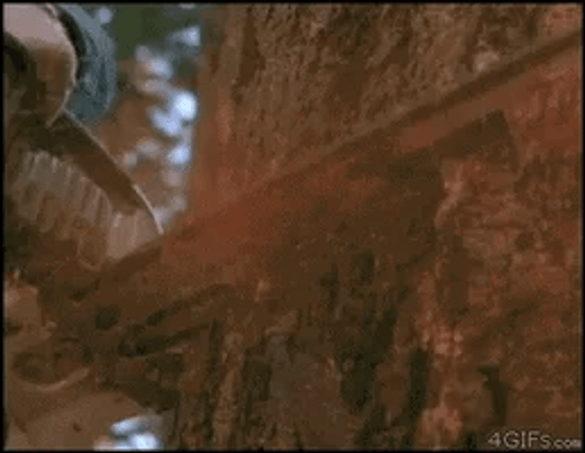 Chuck Norris Thumbs Up Save Tree Stop Chainsaw GIF