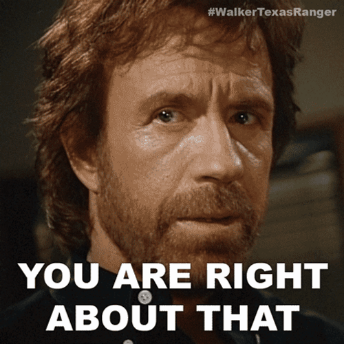 Chuck Norris You Are Right About That GIF