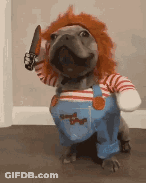 Chucky Doll Dog GIF