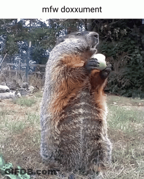 Chunk The Groundhog GIF