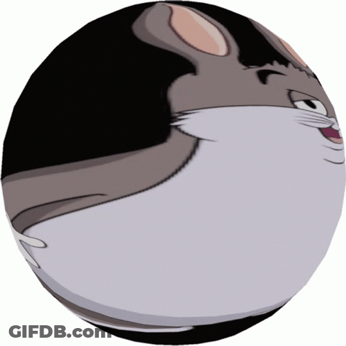 Chunky Bunny Watching On You GIF