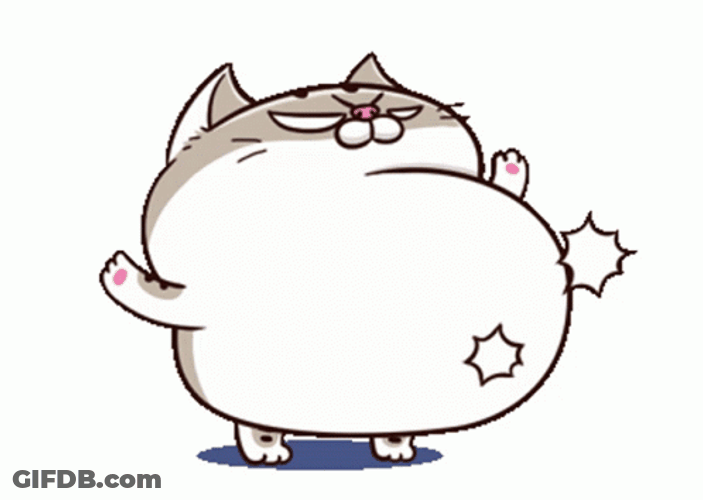 Chunky Cat Bouncy Tummy GIF