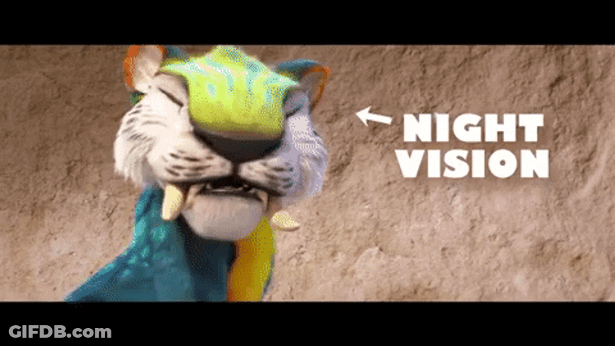 Chunky Characteristic Night Vision GIF