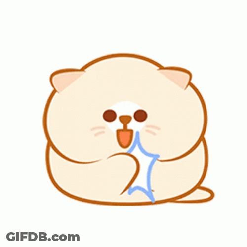Chunky Kitty Clap GIF