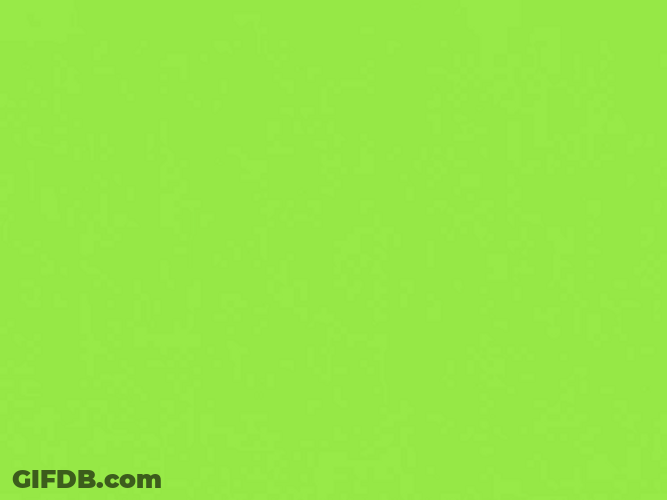 Chunky Pig Flies Over Green Backdrop GIF